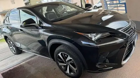 Used LEXUS NX Hybrid 2020 Ad 