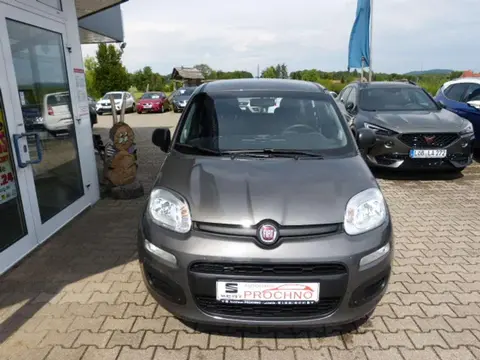 Annonce FIAT PANDA Essence 2020 d'occasion 