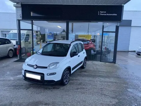 Annonce FIAT PANDA  2021 d'occasion 