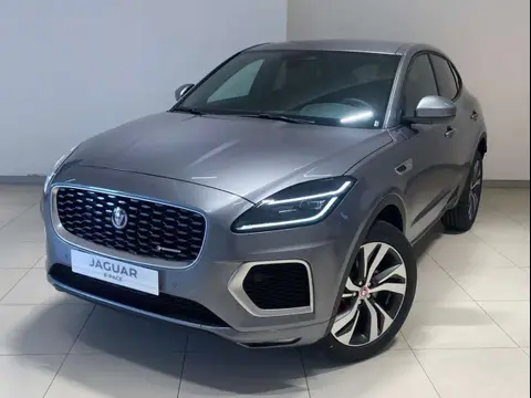 Used JAGUAR E-PACE Hybrid 2024 Ad 