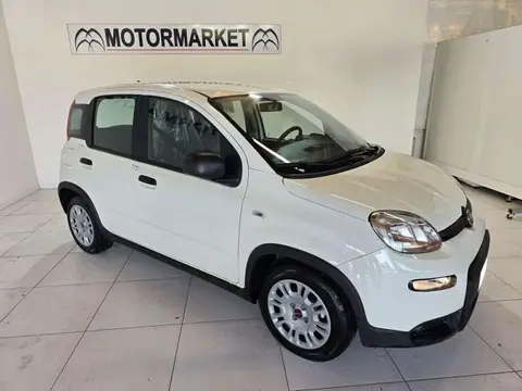 Used FIAT PANDA Hybrid 2024 Ad 