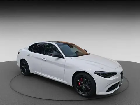 Used ALFA ROMEO GIULIA Petrol 2024 Ad 