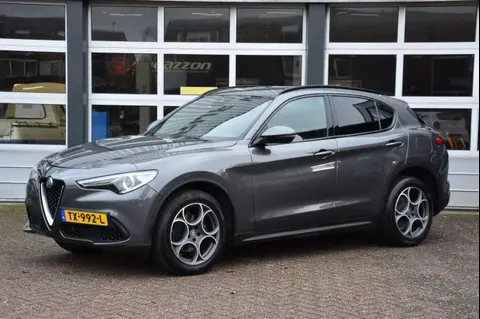 Used ALFA ROMEO STELVIO Petrol 2018 Ad 