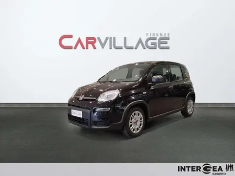 Used FIAT PANDA Hybrid 2023 Ad 