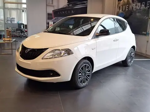 Used LANCIA YPSILON Hybrid 2024 Ad 