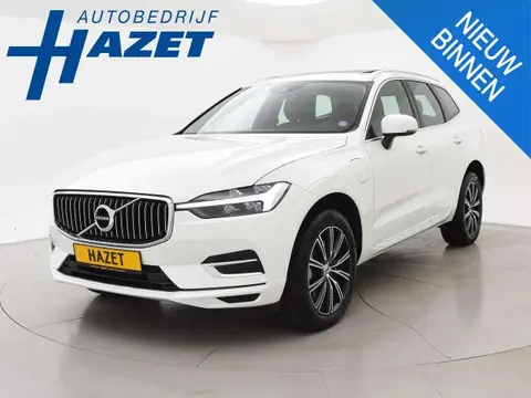 Annonce VOLVO XC60 Hybride 2021 d'occasion 