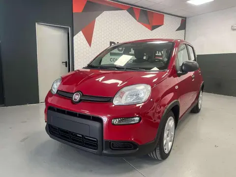 Annonce FIAT PANDA Hybride 2024 d'occasion 