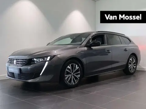 Annonce PEUGEOT 508 Hybride 2023 d'occasion 