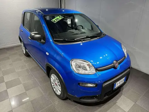 Used FIAT PANDA Petrol 2024 Ad 