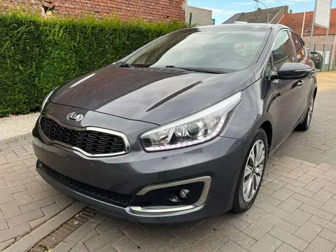 Used KIA CEED Petrol 2016 Ad 