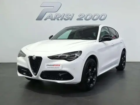 Annonce ALFA ROMEO STELVIO Diesel 2024 d'occasion 