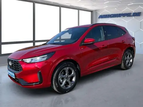 Annonce FORD KUGA Essence 2024 d'occasion 