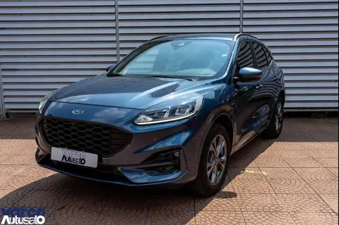 Annonce FORD KUGA Hybride 2021 d'occasion 