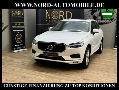 Annonce VOLVO XC60 Diesel 2020 d'occasion 