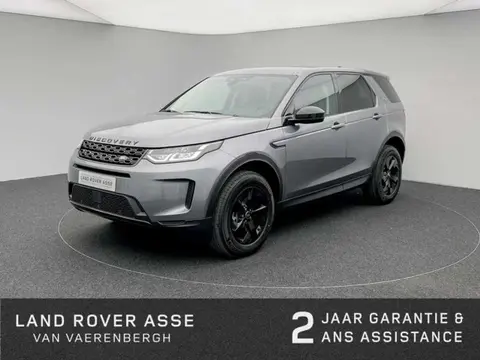 Annonce LAND ROVER DISCOVERY Diesel 2023 d'occasion 