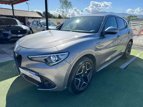 Annonce ALFA ROMEO STELVIO Diesel 2020 d'occasion 