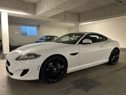 Used JAGUAR XK Petrol 2016 Ad 