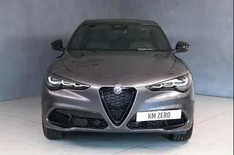 Used ALFA ROMEO STELVIO Diesel 2024 Ad 