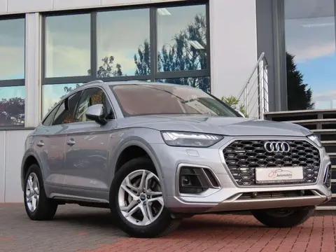 Used AUDI Q5 Hybrid 2021 Ad 