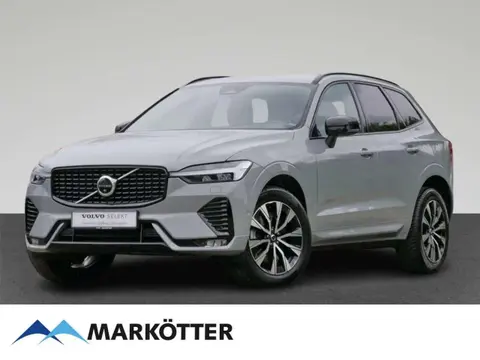 Annonce VOLVO XC60 Diesel 2023 d'occasion 