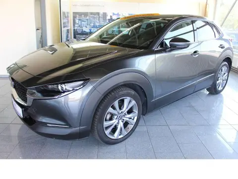 Annonce MAZDA CX-30 Diesel 2019 d'occasion 