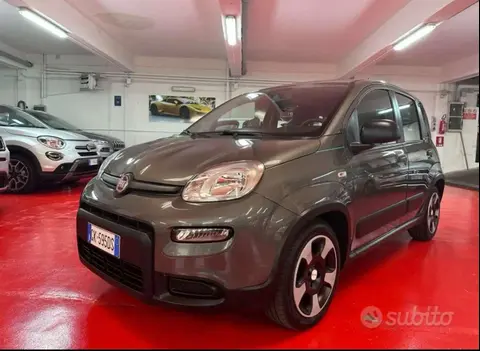 Annonce FIAT PANDA Hybride 2022 d'occasion 