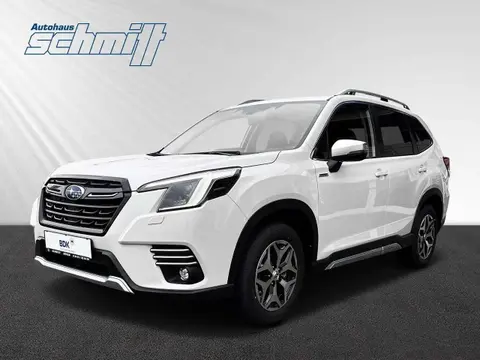 Annonce SUBARU FORESTER Hybride 2024 d'occasion 