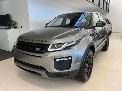 Used LAND ROVER RANGE ROVER EVOQUE Diesel 2019 Ad 