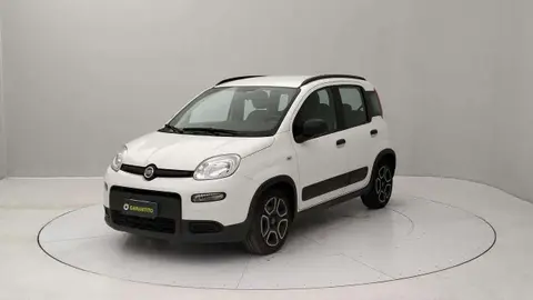 Used FIAT PANDA Hybrid 2021 Ad 