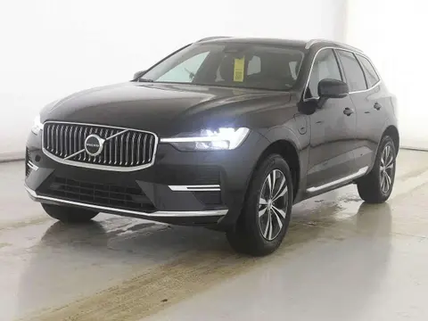 Annonce VOLVO XC60 Essence 2023 d'occasion 