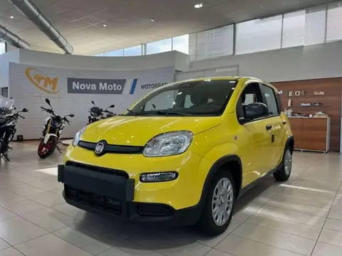 Annonce FIAT PANDA Hybride 2024 d'occasion 