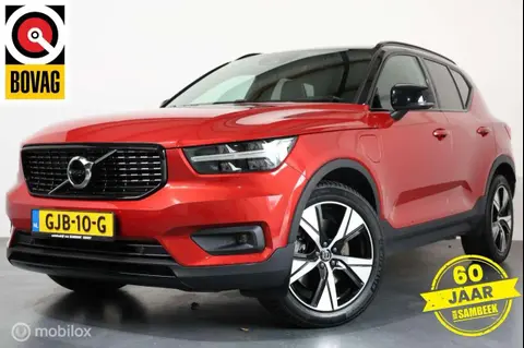 Annonce VOLVO XC40 Hybride 2022 d'occasion 