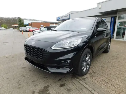 Used FORD KUGA Hybrid 2024 Ad 