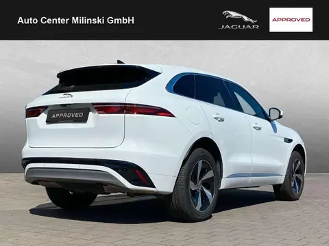 Used JAGUAR F-PACE Hybrid 2023 Ad 