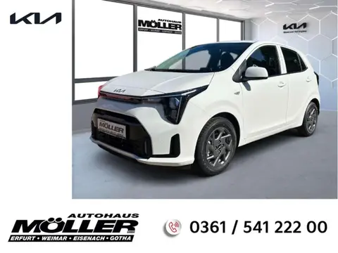 Used KIA PICANTO Petrol 2024 Ad 