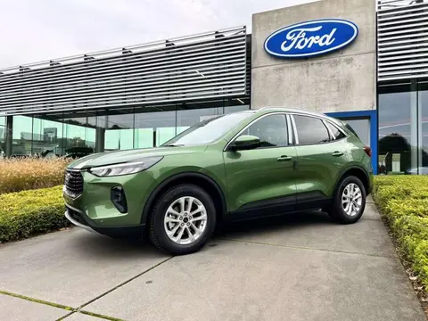 Annonce FORD KUGA Hybride 2024 d'occasion 