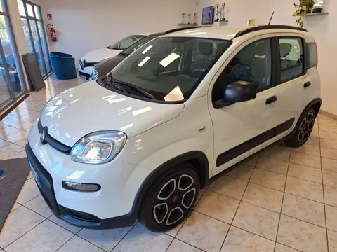 Used FIAT PANDA Hybrid 2022 Ad 