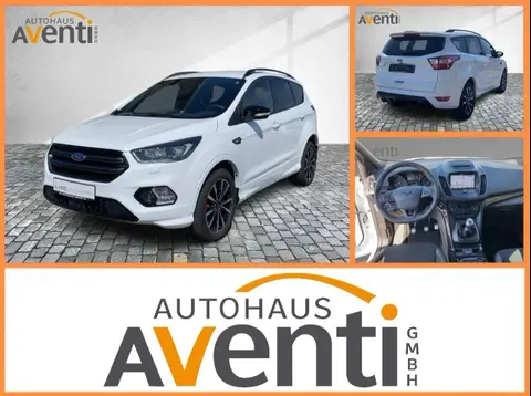 Used FORD KUGA Petrol 2019 Ad 