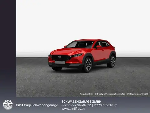 Annonce MAZDA CX-30 Essence 2020 d'occasion 