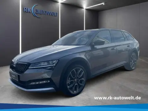 Annonce SKODA SUPERB Diesel 2024 d'occasion 