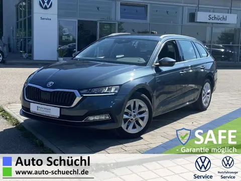 Used SKODA OCTAVIA Petrol 2021 Ad 