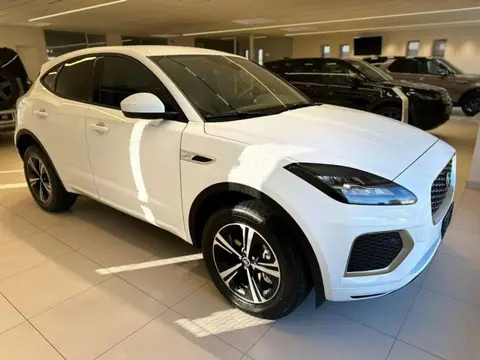 Used JAGUAR E-PACE Hybrid 2023 Ad 