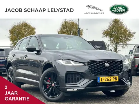 Annonce JAGUAR F-PACE Hybride 2021 d'occasion 