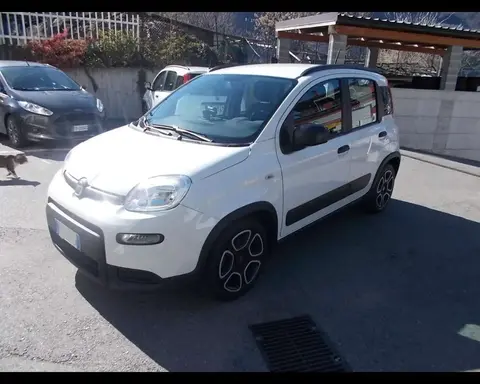 Used FIAT PANDA Hybrid 2022 Ad 