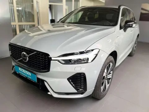 Annonce VOLVO XC60 Hybride 2024 d'occasion 