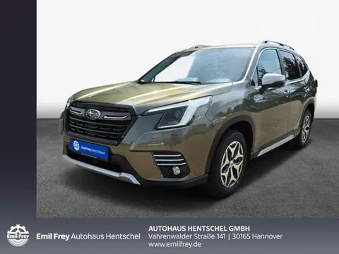 Annonce SUBARU FORESTER Hybride 2024 d'occasion 