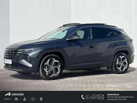 Used HYUNDAI TUCSON Hybrid 2023 Ad 