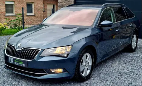 Annonce SKODA SUPERB Diesel 2019 d'occasion 