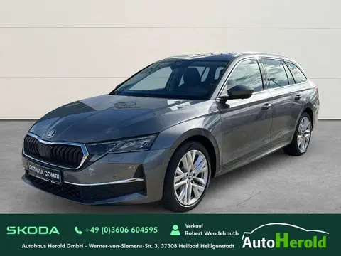 Used SKODA OCTAVIA Diesel 2024 Ad 