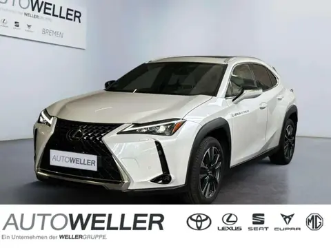 Used LEXUS UX Hybrid 2023 Ad 